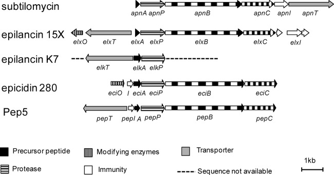 FIG 3