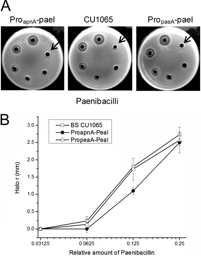 FIG 6