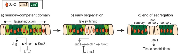 Figure 12.