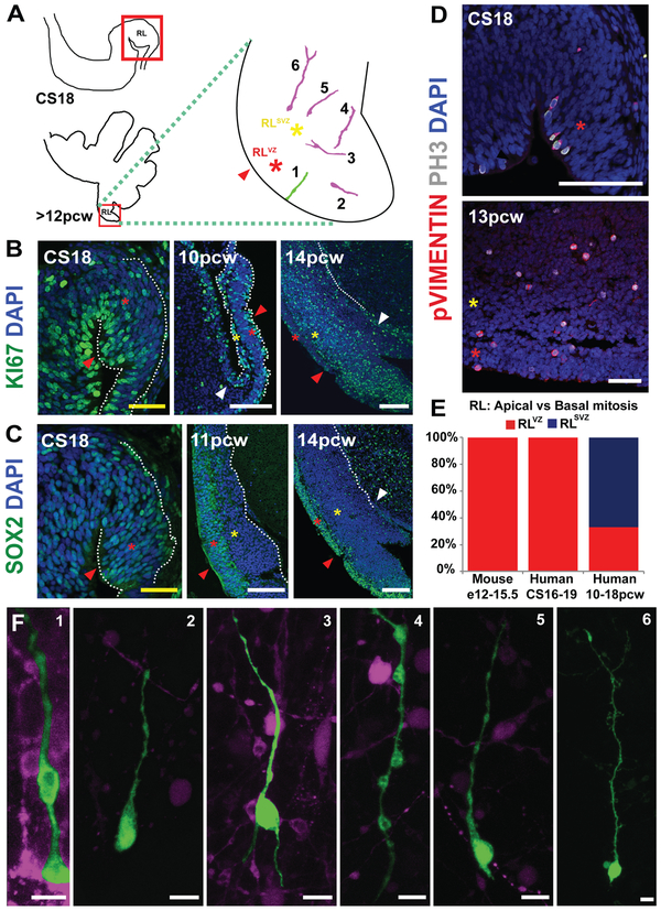 Fig. 4: