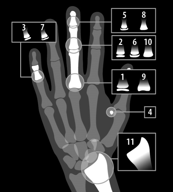 Figure 1.