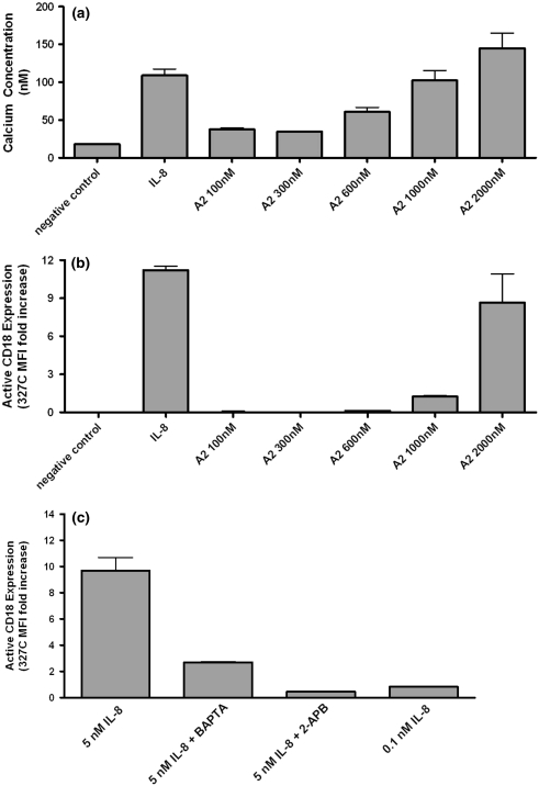 Calcium Flux In Neutrophils Synchronizes β2 Integrin Adhesive And 