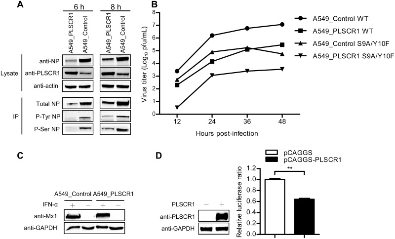 Fig 6