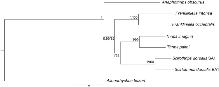 Fig 5