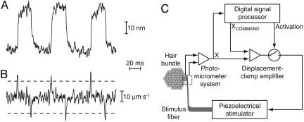 Fig. 1.