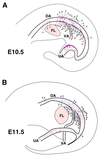 Fig. 2.