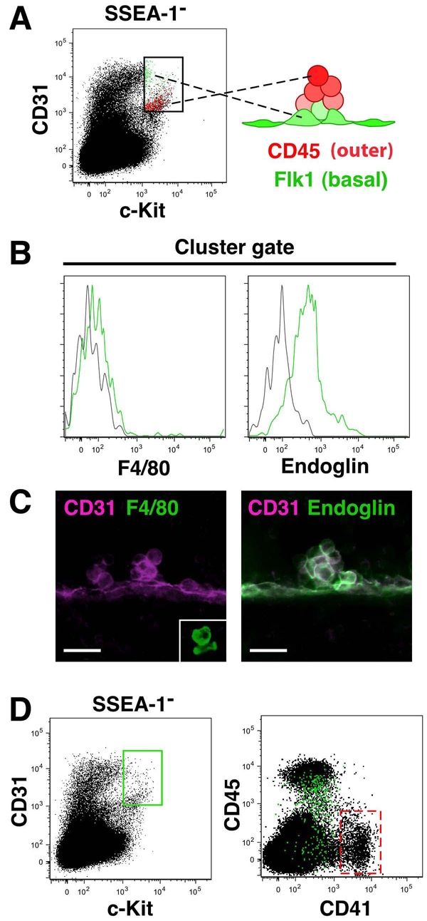 Fig. 8.