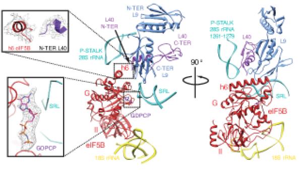 Fig.6