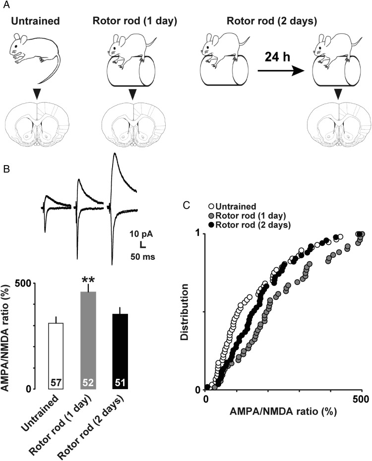 Figure 2.