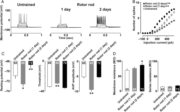 Figure 6.