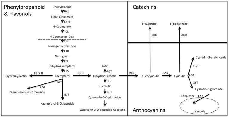 Figure 7