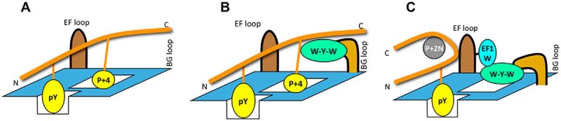 Fig. 7.