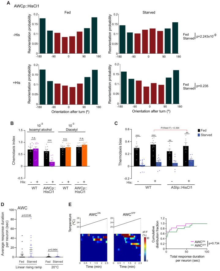 Figure 2—figure supplement 1.