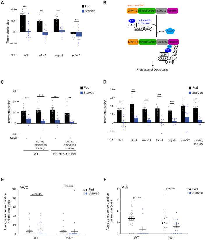 Figure 4—figure supplement 2.