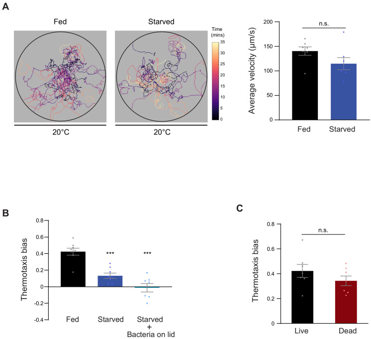 Figure 1—figure supplement 1.