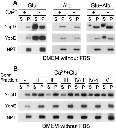 FIG. 5