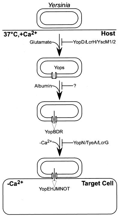 FIG. 10