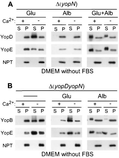 FIG. 8