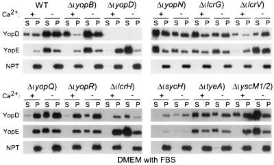 FIG. 7