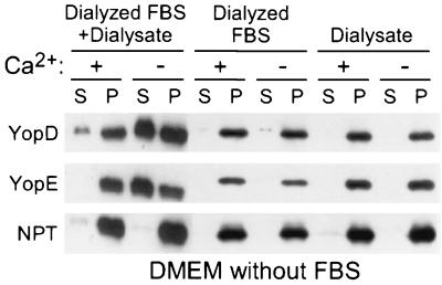 FIG. 4