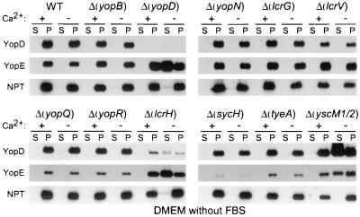 FIG. 6