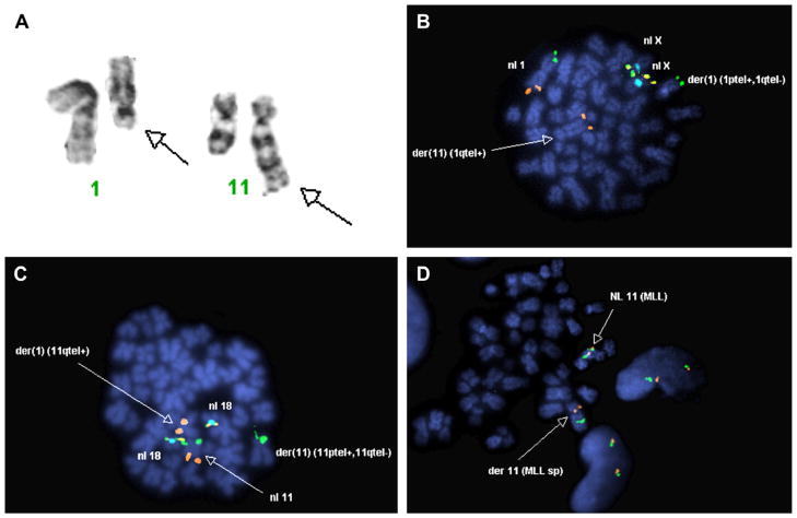 Fig. 1