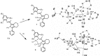Scheme 3