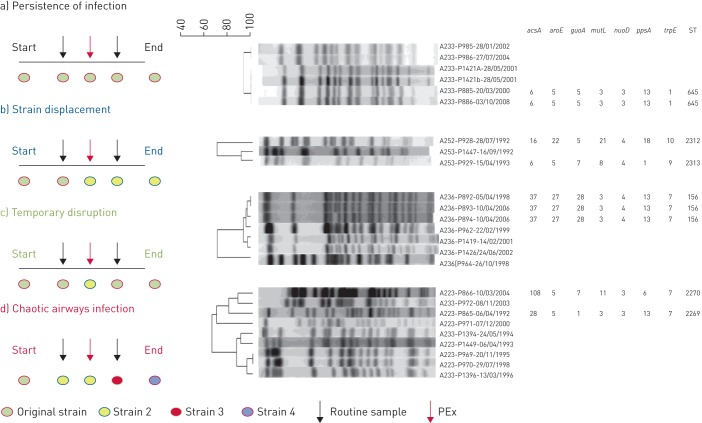 FIGURE 2