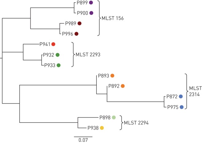 FIGURE 4