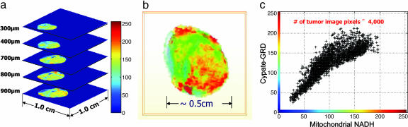 Fig. 4.