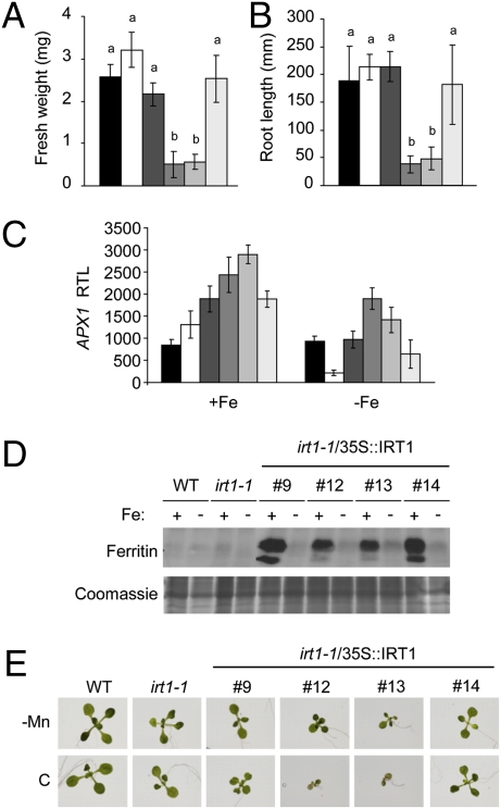 Fig. 3.