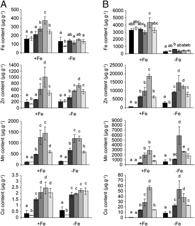 Fig. 2.