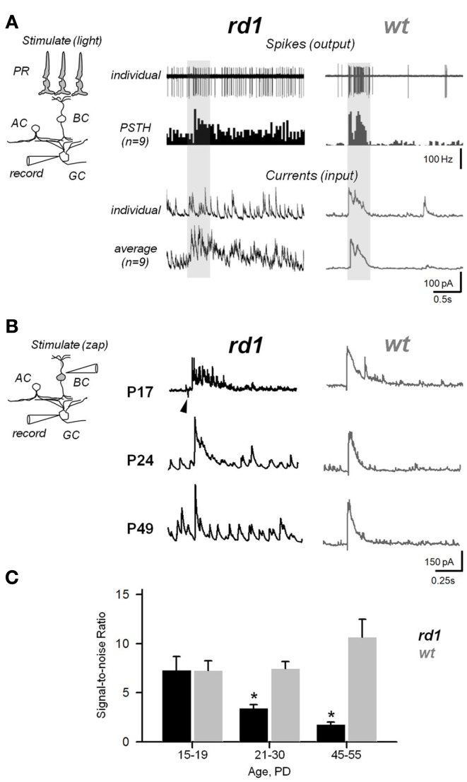 Figure 9