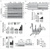 Figure 10.