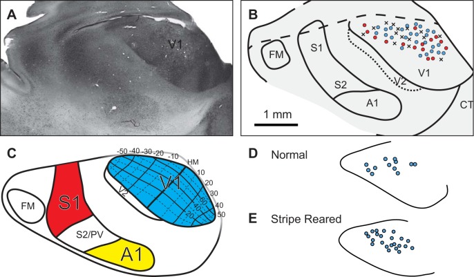 Fig. 3.