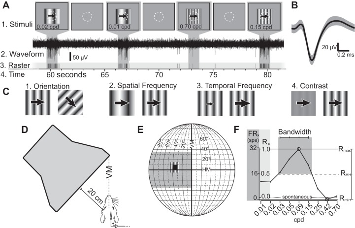 Fig. 2.