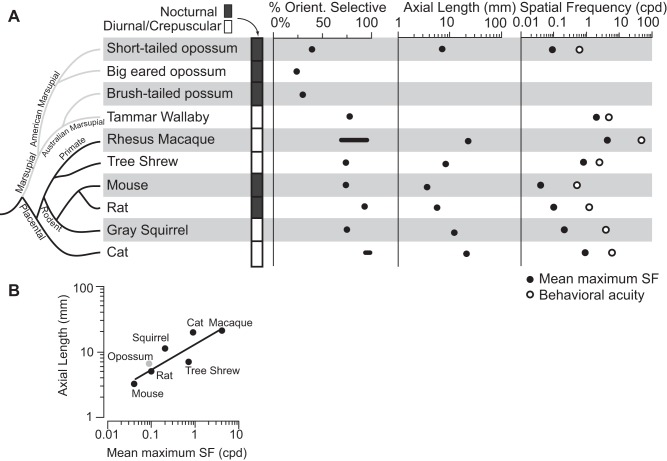 Fig. 10.