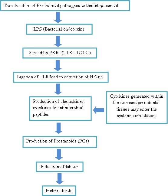 [Table/Fig-6]: