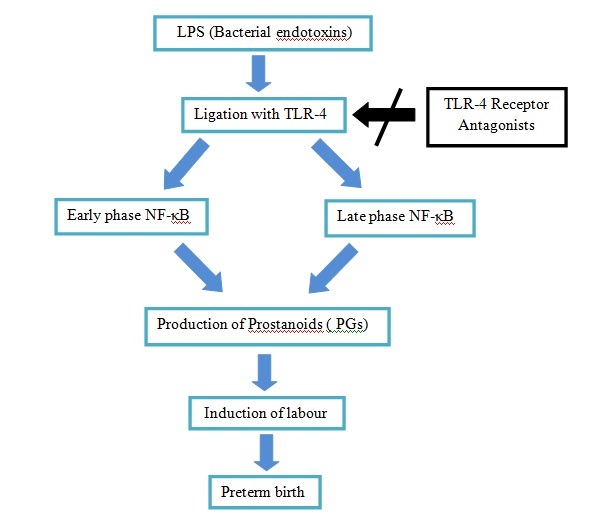 [Table/Fig-7]: