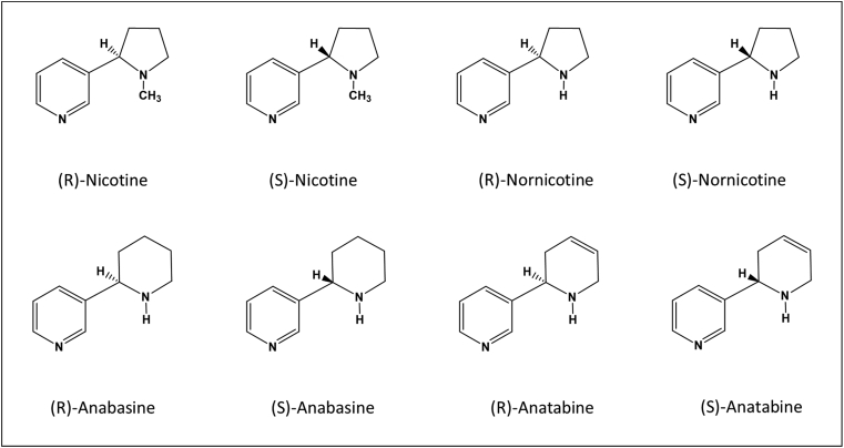 Fig. 1