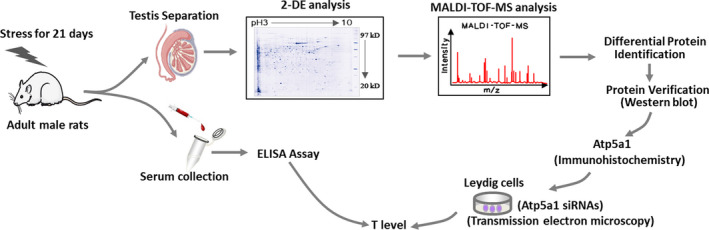 FIGURE 1