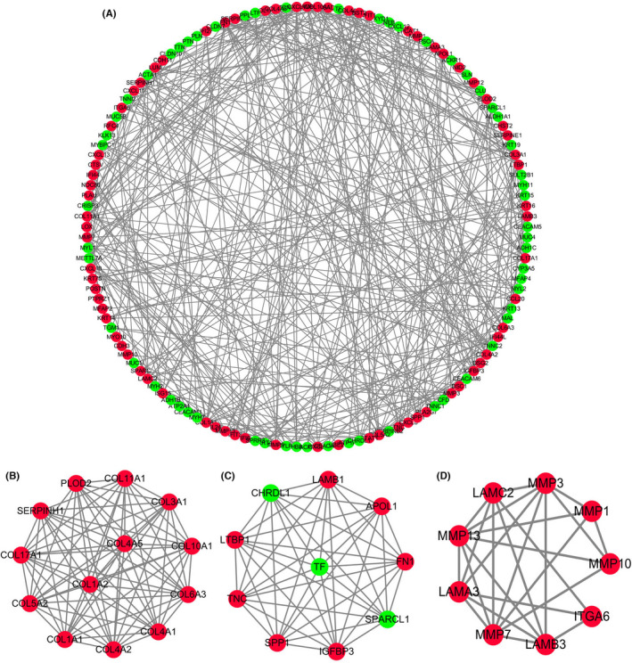 FIGURE 3