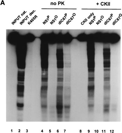 FIG. 9