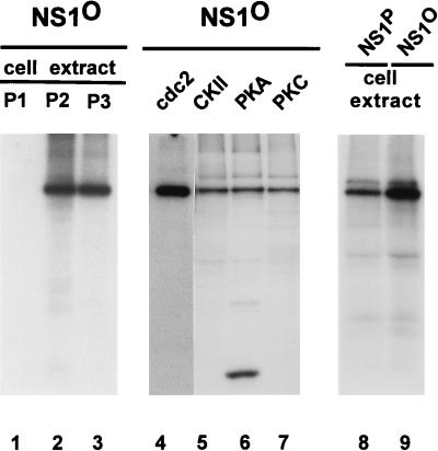 FIG. 8