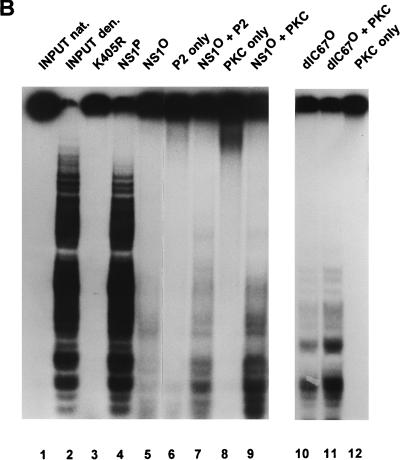 FIG. 9