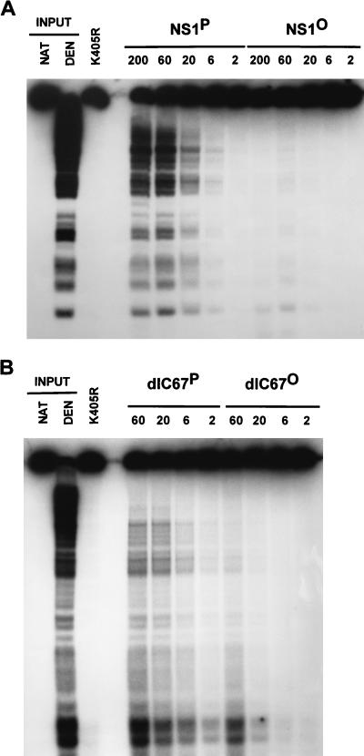 FIG. 5