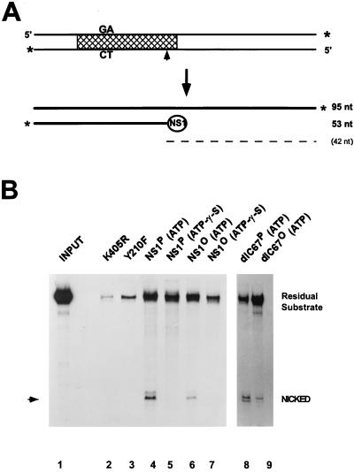 FIG. 4