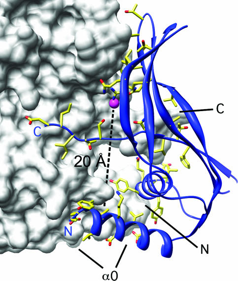 FIG. 3.