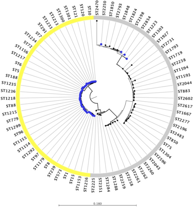 FIG 1