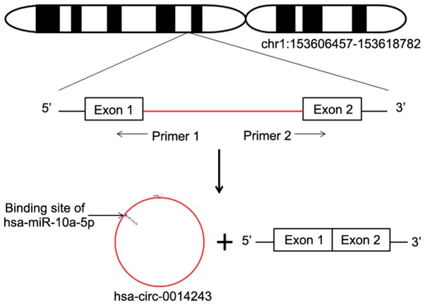 Figure 1.